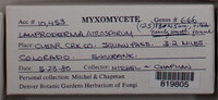 Image Associated With the Occurence